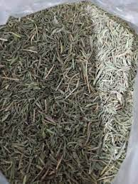 خرید آویشن باریک